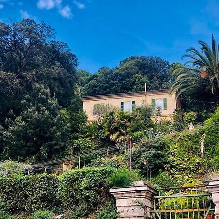 Caligo Acomodação com café da manhã La Spezia Exterior foto