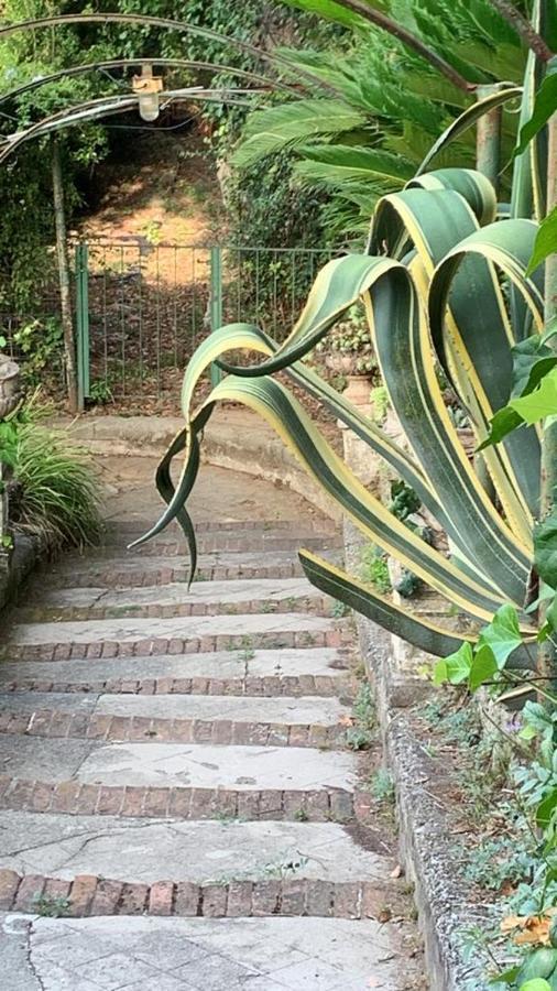 Caligo Acomodação com café da manhã La Spezia Exterior foto